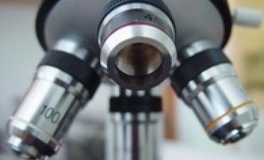 光学顕微鏡と電子顕微鏡:金属材料基礎講座(その119)光学顕微鏡と走査電子顕微鏡の模式図比較