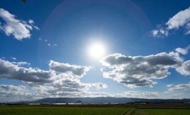 【農業×発電の二刀流】営農型太陽光（ソーラーシェアリング）とは？メリット・失敗リスク・補助金を徹底解説