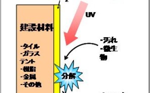 資料ダウンロード｜クライアント企業インタビュー集（Part 2）