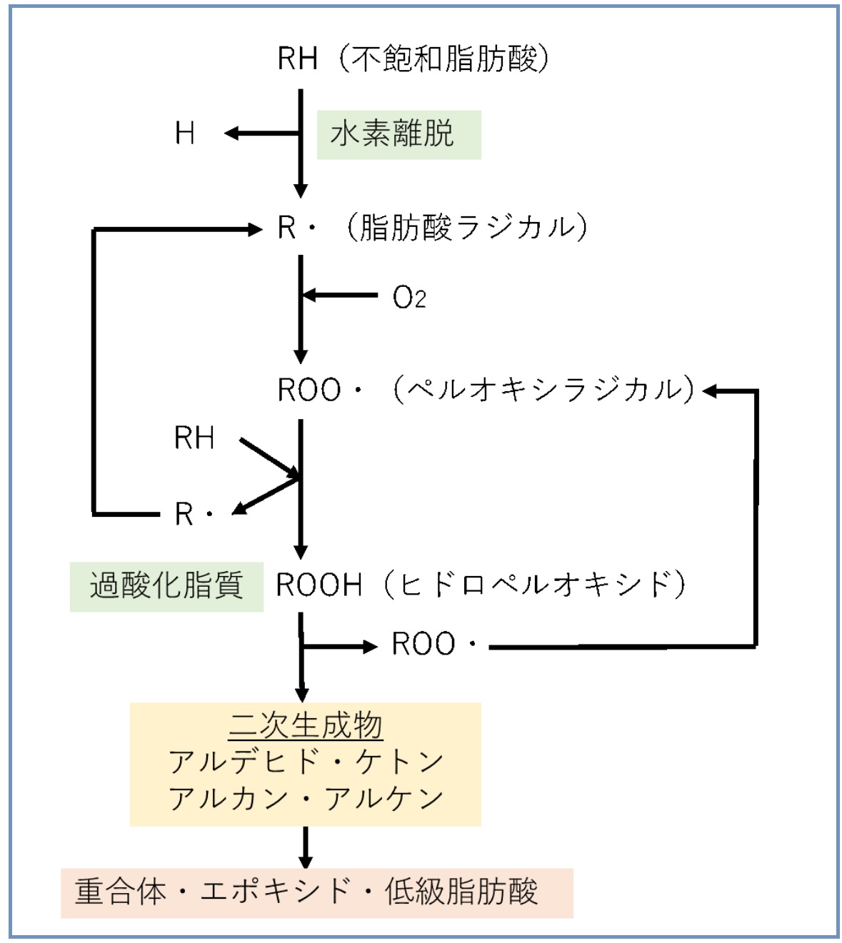 劣化食用油脂の毒性と食中毒：食用油脂の知識（その６）