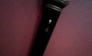 連想がアイデアを生んだ事例 -カラオケと害虫駆除-