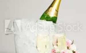 自然界をヒントにした発想事例3 -護身用具、緊急救助法-