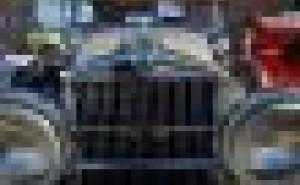 屋内外で発見したことからの発想事例1 -蛍光紙、牛の解体-