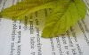 統計教育が必須な検査担当者