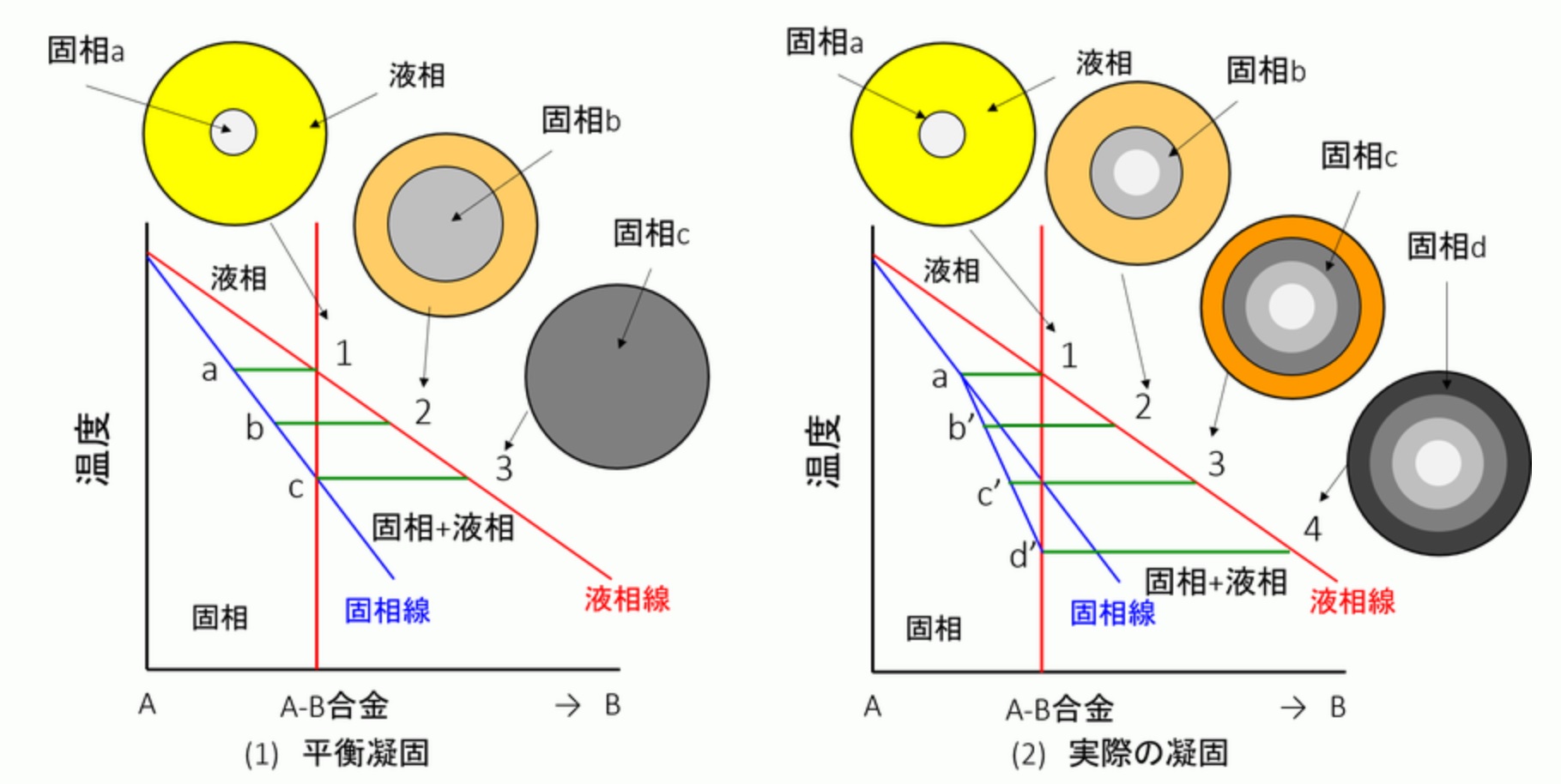 状態図から見る偏析:金属材料基礎講座(その159) わかりやすく解説