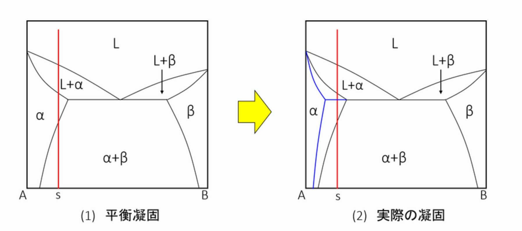 状態図から見る偏析:金属材料基礎講座(その159) わかりやすく解説