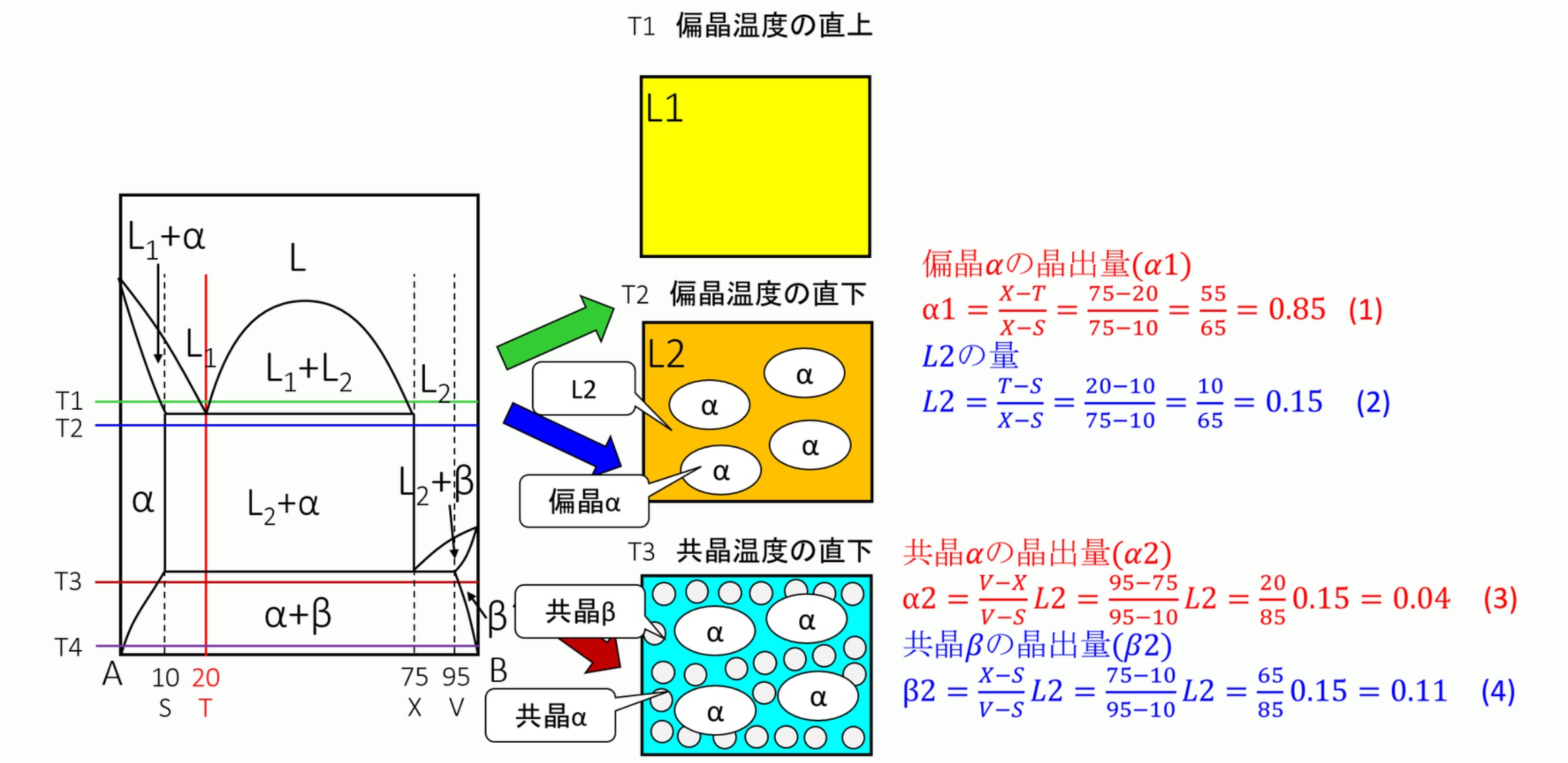 偏晶組織の量的計算:金属材料基礎講座(その172) わかりやすく解説