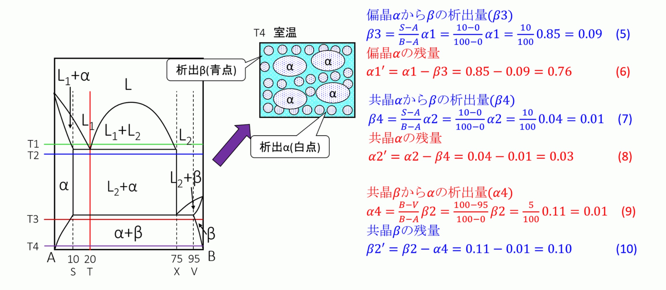 偏晶組織の量的計算:金属材料基礎講座(その172) わかりやすく解説