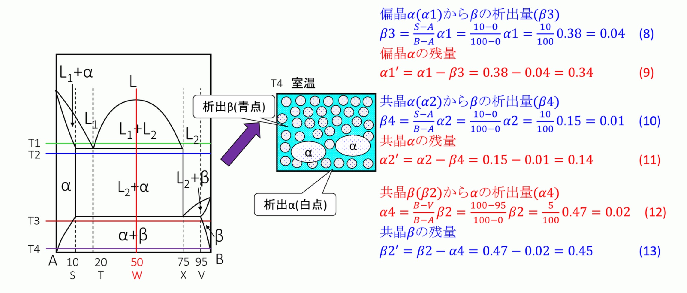 液相のある偏晶組織の量的計算:金属材料基礎講座(その174) わかりやすく解説