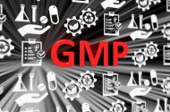 GMP事例集2022年版のポイント解説 ～新設された承認事項の遵守、医薬品品質システム、品質リスクマネジメントの具体的理解～